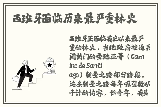 麻豆精品123区